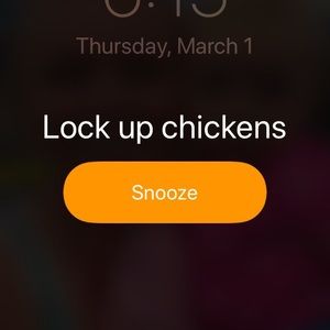 Meet your Posher, Kristi